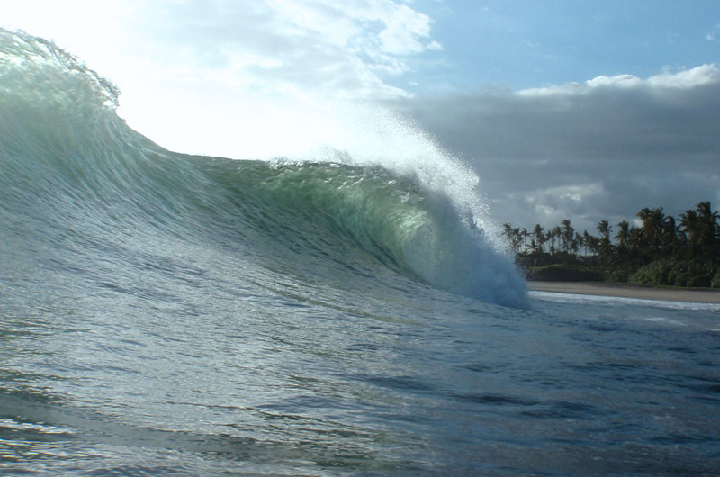 Surf WG surfcamp Bali java experience bali