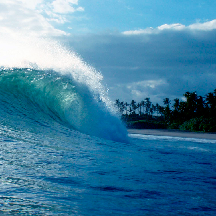 surfing